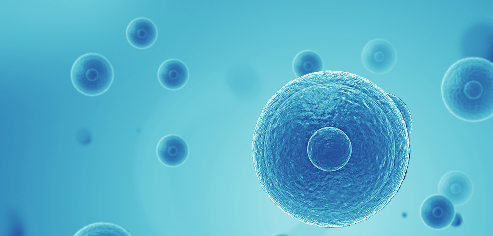 以患者需求為核心，驅(qū)動(dòng)細(xì)胞免疫治療創(chuàng)新，實(shí)現(xiàn)癌癥可控化并最終治愈。