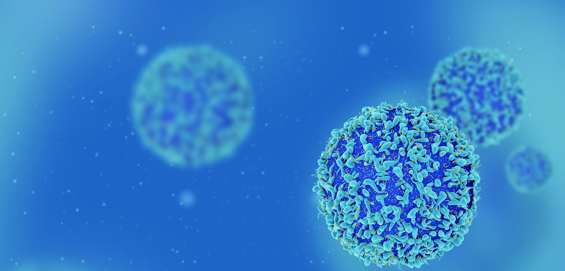 成為全球細(xì)胞免疫治療領(lǐng)域的領(lǐng)導(dǎo)者之一。